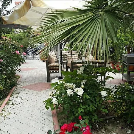 So Dalyan Ортаджа